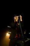 Maximo Park 3187982