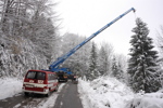 Christbaumschneiden Salzburg Stadt