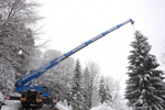 Christbaumschneiden Salzburg Stadt