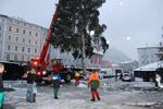 Christbaumschneiden Salzburg Stadt 3268439