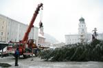 Christbaumschneiden Salzburg Stadt 3268477