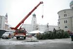 Christbaumschneiden Salzburg Stadt 3268478