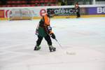 Eishockey EHL-G99 3269541