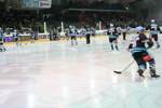 Eishockey EHL-G99 3269544