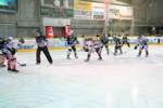 Eishockey EHL-G99 3269547