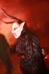 11ter Perchtenlauf 3330472