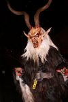 11ter Perchtenlauf 3330479