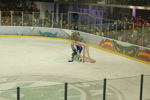 Eishockey RBS - G99 3385315