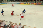 Eishockey RBS - G99 3385346