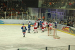 Eishockey RBS - G99 3385395