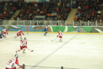 Eishockey RBS - G99 3385414