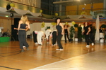 Oberndorfer Stadtball