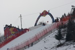 Hahnenkammrennen 2008 - Super-G 3450656