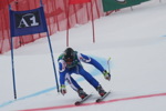 Hahnenkammrennen 2008 - Super-G 3450702