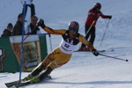 Hahnenkammrennen 2008 - Slalom 3464624