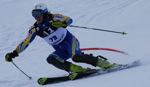 Hahnenkammrennen 2008 - Slalom 3464694