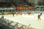 EisHockeySpiel RBS vs. VIC 3485702