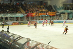 EisHockeySpiel RBS vs. VIC 3485703