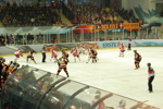 EisHockeySpiel RBS vs. VIC 3485705