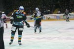 Black Wings - HK Jesenice 3539091