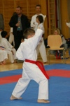 Karate Landesmeisterschaft Kategorie Kata