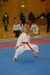 Karate Landesmeisterschaft Kategorie Kata