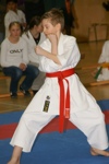 Karate Landesmeisterschaft Kategorie Kata 3611259