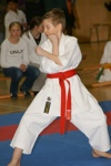 Karate Landesmeisterschaft Kategorie Kata