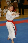 Karate Landesmeisterschaft Kategorie Kata