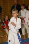 Karate Landesmeisterschaft Kategorie Kata 3611261