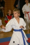 Karate Landesmeisterschaft Kategorie Kata 3611262