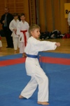 Karate Landesmeisterschaft Kategorie Kata 3611263