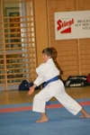 Karate Landesmeisterschaft Kategorie Kata 3611264