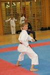 Karate Landesmeisterschaft Kategorie Kata 3611272