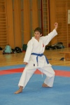 Karate Landesmeisterschaft Kategorie Kata 3611336