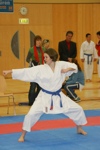 Karate Landesmeisterschaft Kategorie Kata 3611337