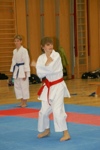 Karate Landesmeisterschaft Kategorie Kata 3611342