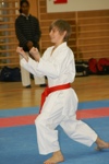 Karate Landesmeisterschaft Kategorie Kata 3611343