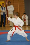 Karate Landesmeisterschaft Kategorie Kata 3611345