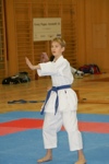 Karate Landesmeisterschaft Kategorie Kata 3611347