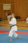 Karate Landesmeisterschaft Kategorie Kata 3611348