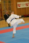 Karate Landesmeisterschaft Kategorie Kata 3611350