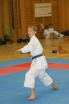 Karate Landesmeisterschaft Kategorie Kata 3611351