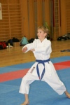 Karate Landesmeisterschaft Kategorie Kata 3611352