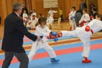 Karate Landesmeisterschaft Kategorie Kumite 3612317