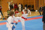 Karate Landesmeisterschaft Kategorie Kumite 3612318