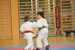 Karate Landesmeisterschaft Kategorie Kumite 3612320