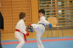 Karate Landesmeisterschaft Kategorie Kumite 3612322