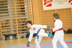 Karate Landesmeisterschaft Kategorie Kumite 3612326