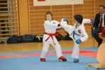 Karate Landesmeisterschaft Kategorie Kumite 3612329